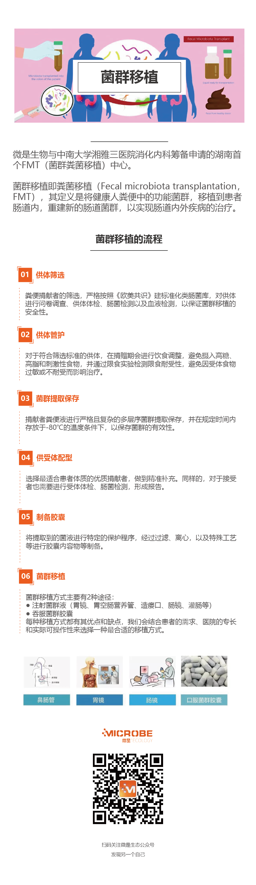 菌群移植-02.png